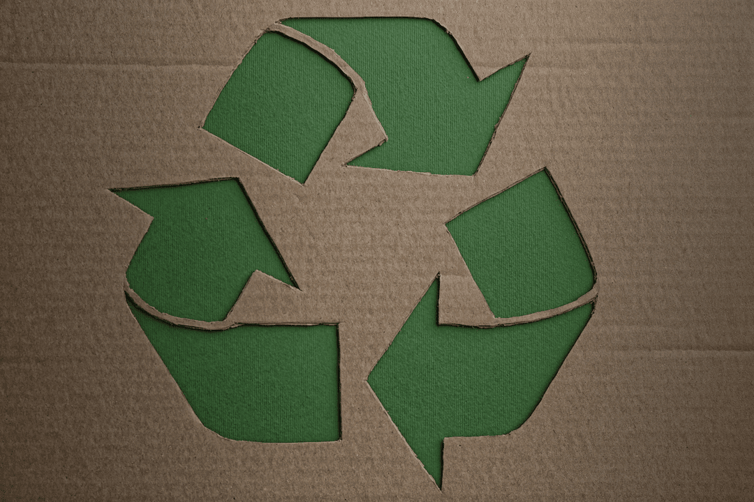 Emergence of Sustainable Practices